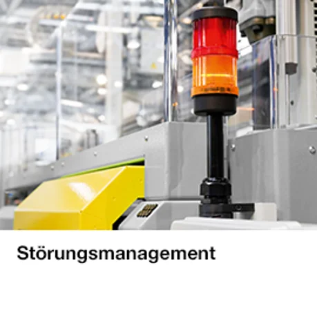 Störungsmanagement