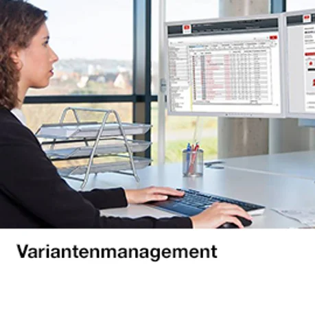 Variantenmanagement