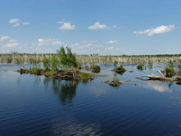 Naturreservat Totes Moor