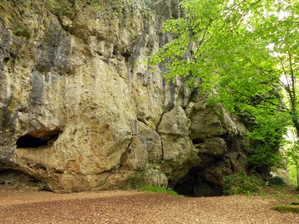 Neandertal