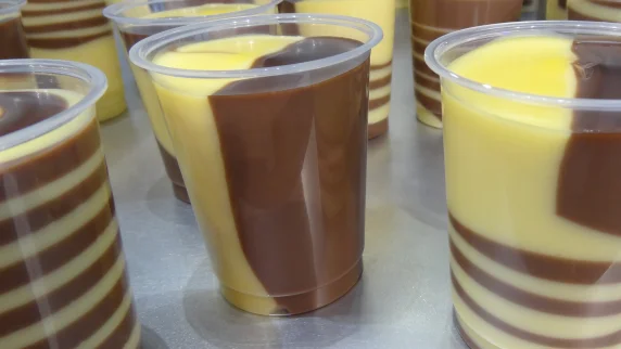Tubs with various patterns of chocolate and vanilla pudding