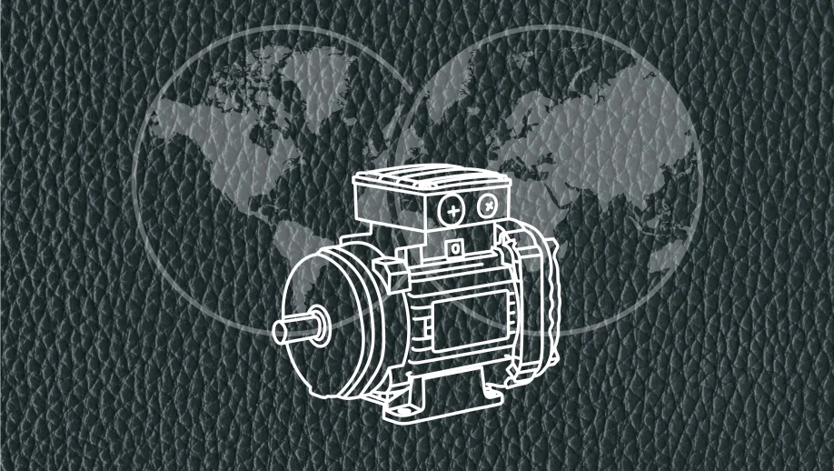 Global Motor Passport