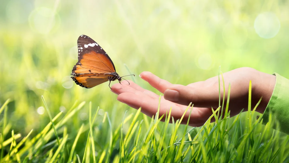 SEW-EURODRIVE places a great of emphasis on sustainability